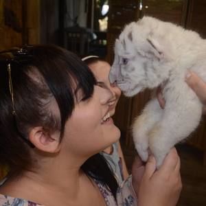 Meet your Posher, Taylor